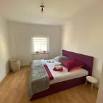 Geraeumiges Stadtapartment Apartment